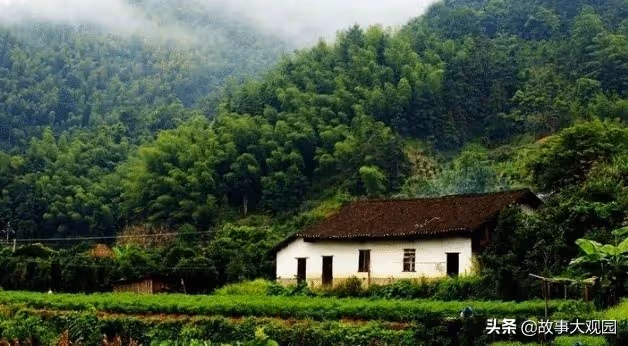 妻子掉進山洞失蹤!丈夫每天「往洞裡扔饅頭」風雨不改 5年後「山洞裡爬出一人」震驚全村!