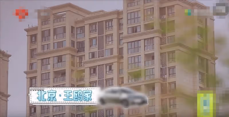 同居試婚？曝何九華搬進王鷗5000萬豪宅，孟鶴堂親自開車負責接送