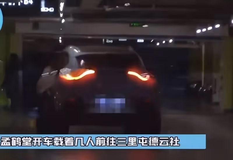 同居試婚？曝何九華搬進王鷗5000萬豪宅，孟鶴堂親自開車負責接送