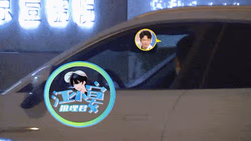 同居試婚？曝何九華搬進王鷗5000萬豪宅，孟鶴堂親自開車負責接送