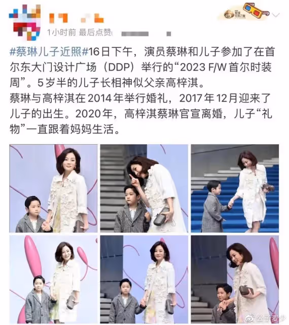 43歲蔡琳滄桑令人不敢認!兒子帥氣似高梓淇,3歲才知有爸爸