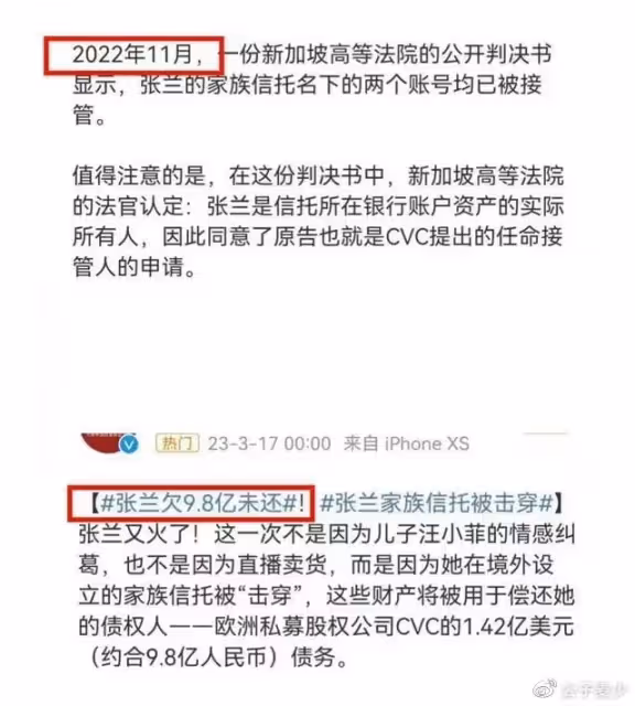 張蘭欠9.8億外債、麻六記被315點名,大S離婚奪撫養權很有深意