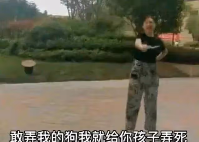 「徽州宴」女主、「富豪作家」吳曉波 所謂的精英是怎樣「破產」的
