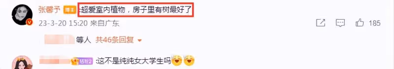 張馨予曬居家照，戴眼鏡淺笑似大學生，與何教官愛巢大到長葉榕樹