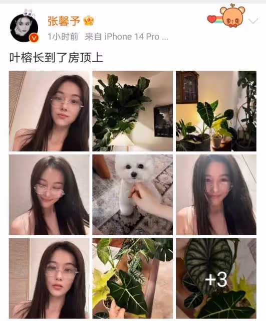 張馨予素顏近照像18歲女大學生很清純，豪宅內好多綠色植物