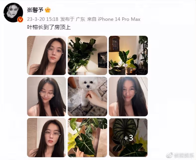 35歲張馨予近照瘦出新高度,素顏出鏡被指變樣了,網友齊呼認不出