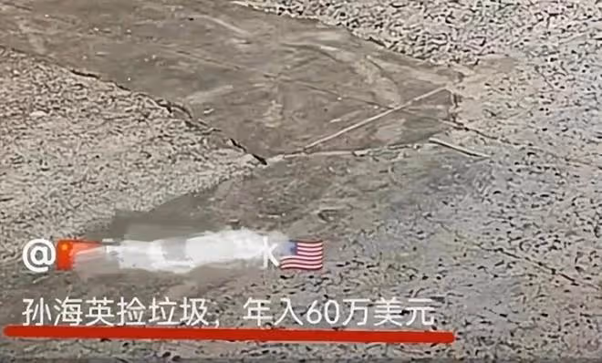 孫海英呂麗萍合體撿垃圾，被曝年收入數百萬，還與乞丐搶垃圾？