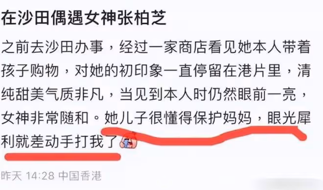張柏芝超市遭遇陌生男叨擾，二兒子小Q保護媽媽差點動手打人