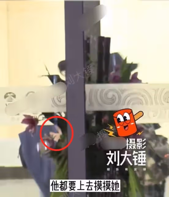 醋意滿滿!李亞鵬幽默回應自己為什麼不能擁有王菲,網友:放不下