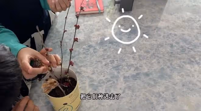 李思思罕曬倆兒子!身材變瘦白嫩似少女,倆娃高鼻樑瓜子臉神似媽