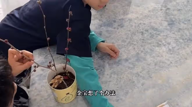 李思思罕曬倆兒子!身材變瘦白嫩似少女,倆娃高鼻樑瓜子臉神似媽