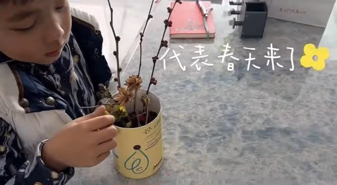 李思思罕曬倆兒子!身材變瘦白嫩似少女,倆娃高鼻樑瓜子臉神似媽