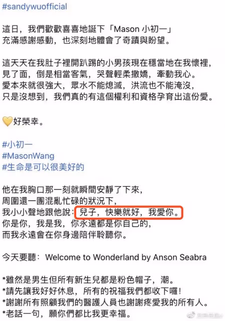 吳宗憲長女吳姍儒產子!嫁高富帥超幸福,吳宗憲曾承諾給百萬紅包