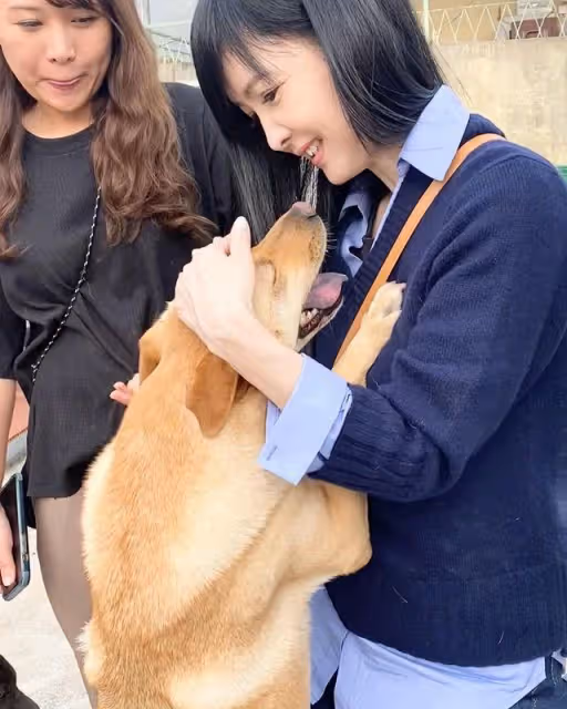周慧敏探望幸福狗舍，做公益留下大量幸福合影照，人美心又善
