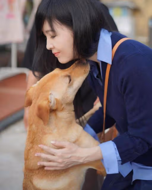 周慧敏探望幸福狗舍，做公益留下大量幸福合影照，人美心又善