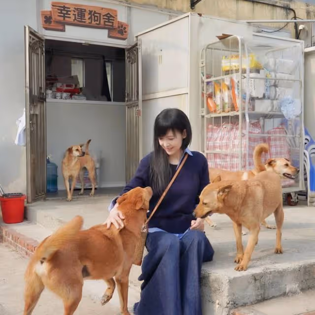 周慧敏探望幸福狗舍,做公益留下大量幸福合影照,人美心又善