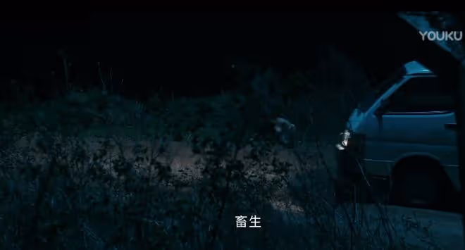 他是誰：5大細節暗示，李雪梅案的兇手不是飯館老闆，而是聶寶華