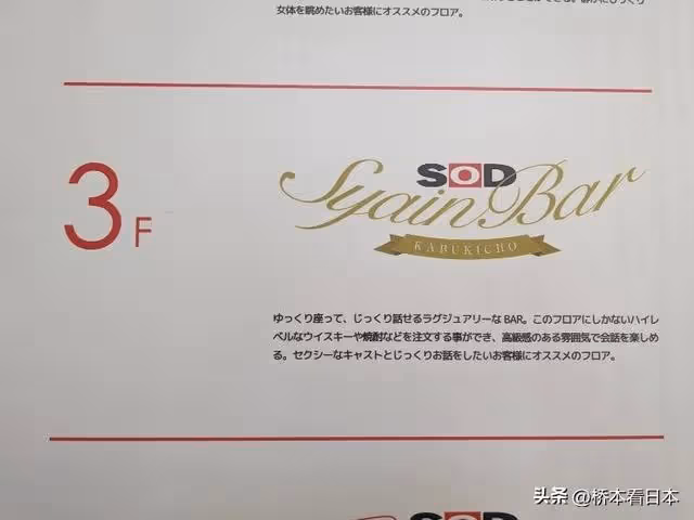 在開放的日本,為何成人主題公園會被搗毀