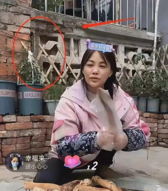 樊小慧走劇本立人設,帶貨,網際網路已見怪不怪,但她消費特殊職業