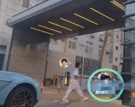 王鷗何九華同居!男方家境不簡單,卻長居女方豪宅,知情人曝內幕