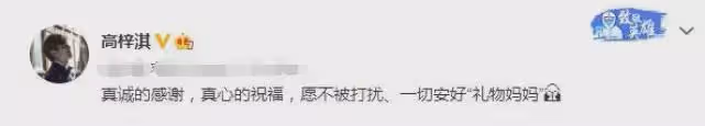 蔡琳母子登上熱搜,前夫高梓淇深夜曬照懷念去世母親,狀態堪憂
