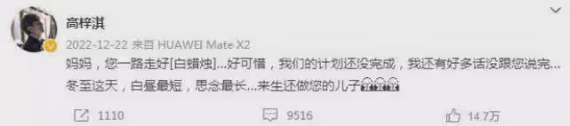 蔡琳母子登上熱搜,前夫高梓淇深夜曬照懷念去世母親,狀態堪憂