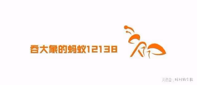 吳樾的《張三丰》，網友評價「拍得很好，以後不要再拍了！」