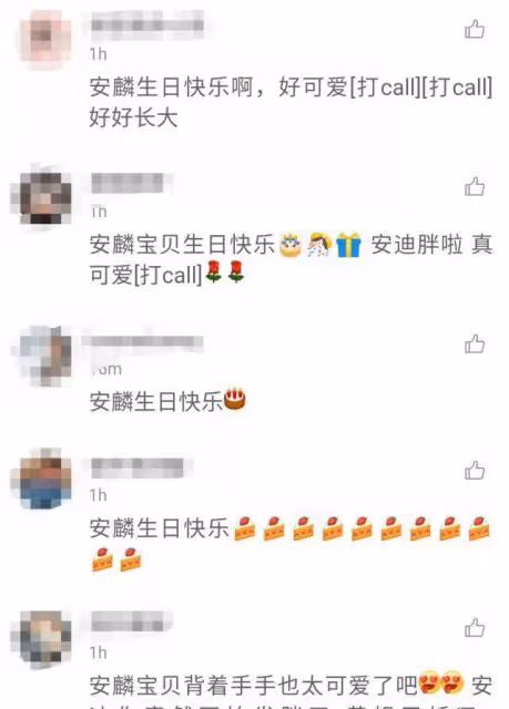 黃聖依一家為小兒子慶生，安迪胖嘟嘟超萌，安麟霸氣背手氣場強