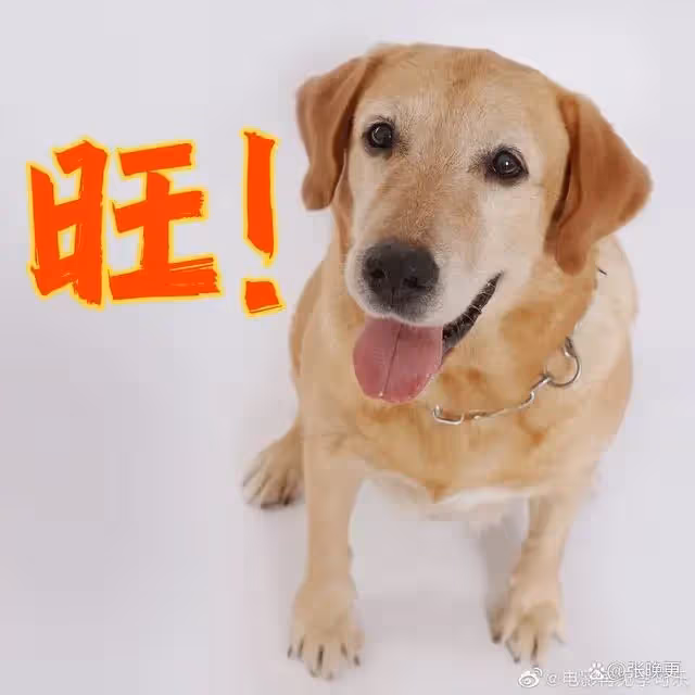 歸路之後,譚松韻再演高中生!人有點滄桑,但劇情是真的很暖