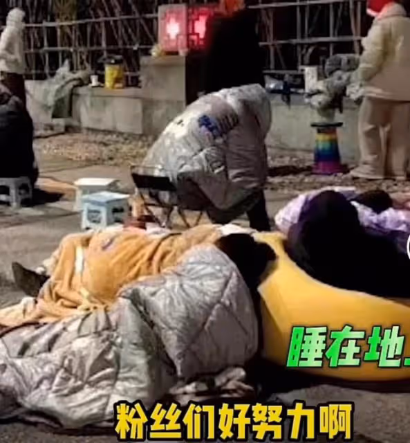 微博之夜亮點多：三小只有望合體，博君一肖同台，粉絲連夜搶位