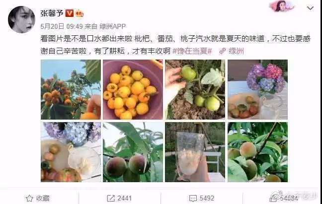 「靠嫁入翻身」的張馨予:她老公何捷,真的很不一樣