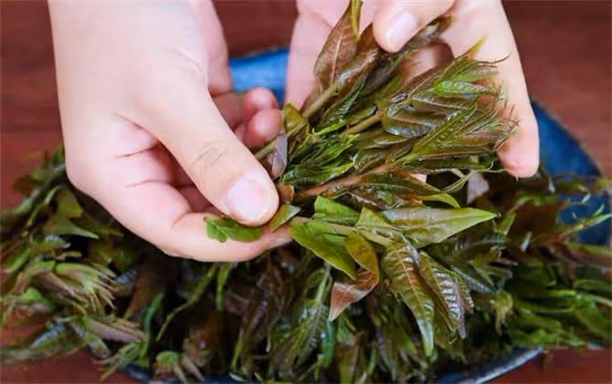香椿辣子，能讓你多吃3碗飯的下飯醬，又香又辣，簡單家常又美味