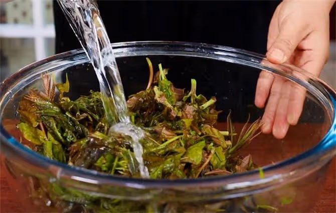 香椿辣子，能讓你多吃3碗飯的下飯醬，又香又辣，簡單家常又美味