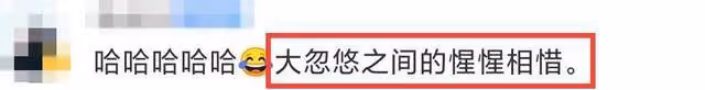 楊子和李亞鵬第一次會面畫風絕了,網友神評:兩個大忽悠抬轎子