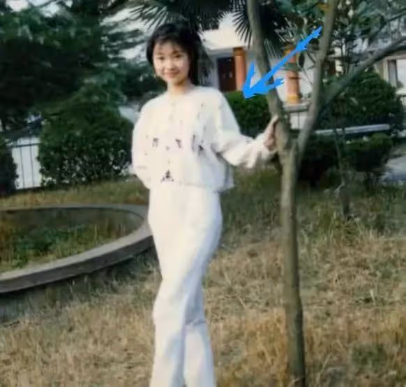 吳京背後的女人 謝楠不僅是知名主持人 也是眼光獨到的投資人