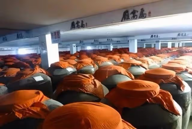 躺著數錢?黑龍江嗜酒大叔用酒養豬,把豬「灌醉」後,結局想不到