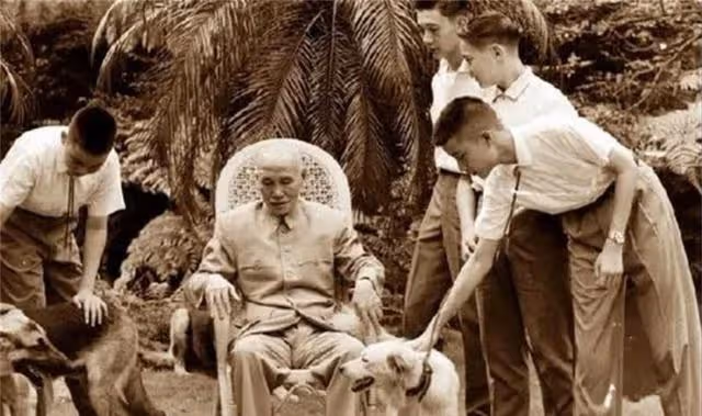 1949年蔣介石退守台灣,到底帶走了多少軍隊?說出來讓人難以接受