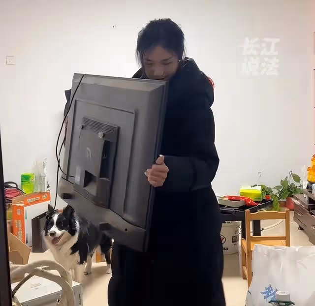 95後211畢業生收破爛月入過萬,直言:不要讓學歷成為我們的枷鎖