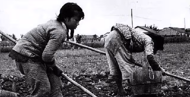 1970年,一位女知青難產,生死關頭,照顧她的農村老太卻轉身離開