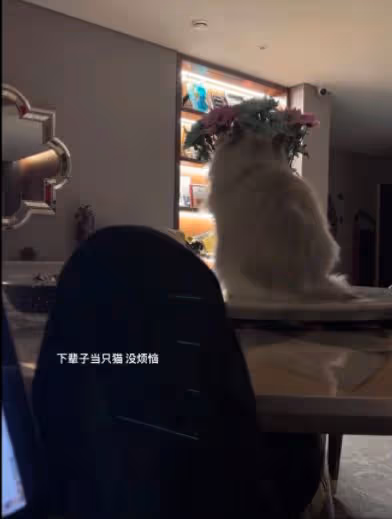 鍾麗緹二女兒情緒低落，頻分享負面動態引擔憂，父母婚姻狀態成謎