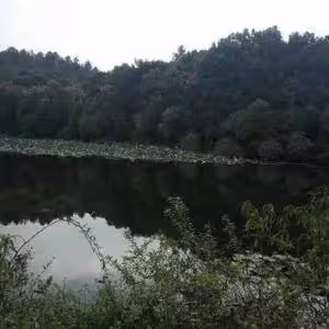 "爸爸知道錯了,想讓你跟你媽媽原諒我 兒子:我沒有爸爸,只有媽媽