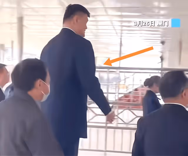 姚明參加公益臉胖一圈走路吃力,女兒近照讓人感慨後繼有人