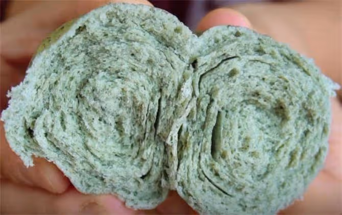 春天多吃艾草,教你做千層艾草饅頭,不用提前發麵,層層清香