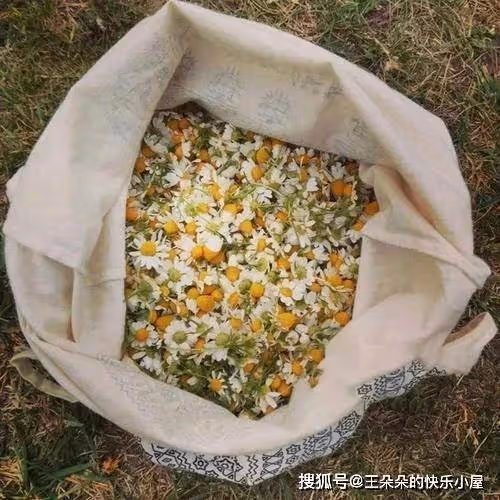 妹妹出嫁繼母給68萬,我結婚時只送一包菊花茶,打開後我泣不成聲:錯怪她了