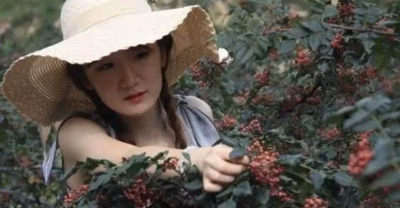 老公往生後妻子8年沒再嫁，突然看到一個長得像老公的小孩，跟過去看到他爸爸後傻了
