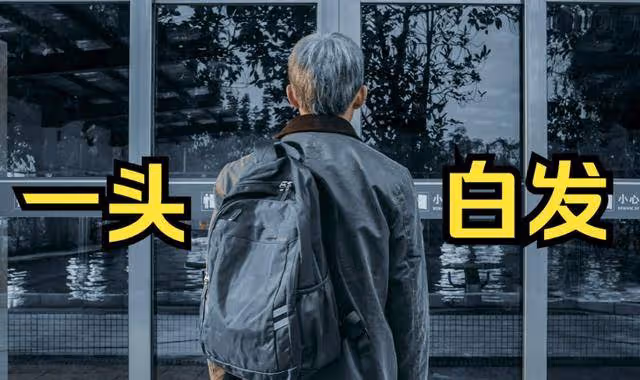 《他是誰》衛國平放狠話拒絕聶小雨,感情上恐重蹈安欣孟鈺的覆轍