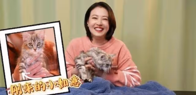 人美心善!港知名女星曬萬尺豪宅再添新寵,獨居北京不婚不生