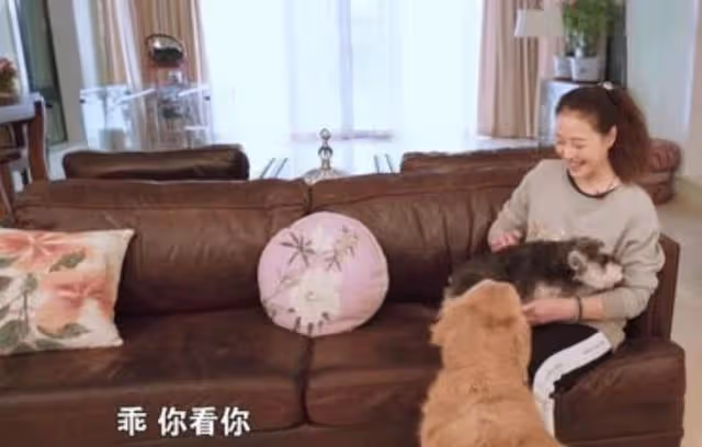 人美心善!港知名女星曬萬尺豪宅再添新寵,獨居北京不婚不生