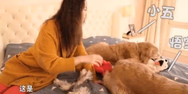 人美心善!港知名女星曬萬尺豪宅再添新寵,獨居北京不婚不生