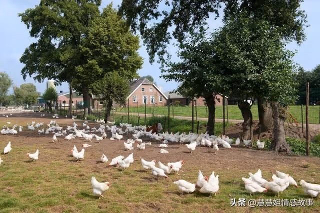 婆婆的偏心太可怕，我和老公逃離了家鄉，沒想到，報應來得如此快